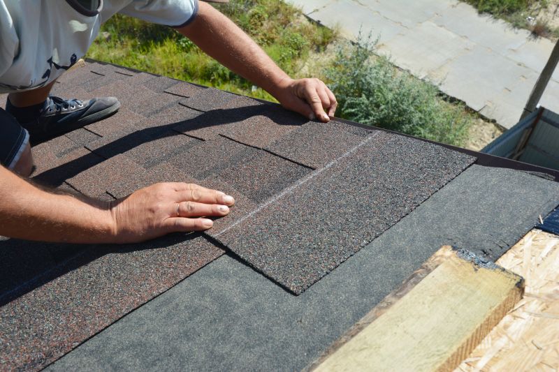 Professional Asphalt Roof Repair 1