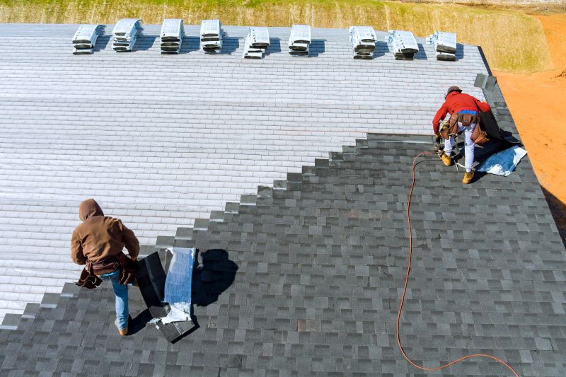 Professional Asphalt Roof Repair 2