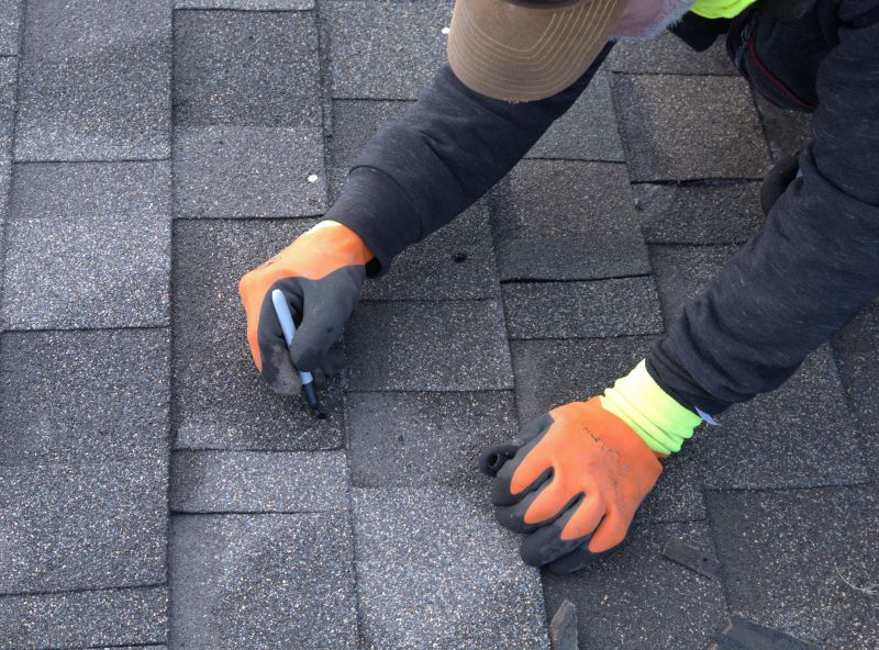 Professional Asphalt Roof Repair 3
