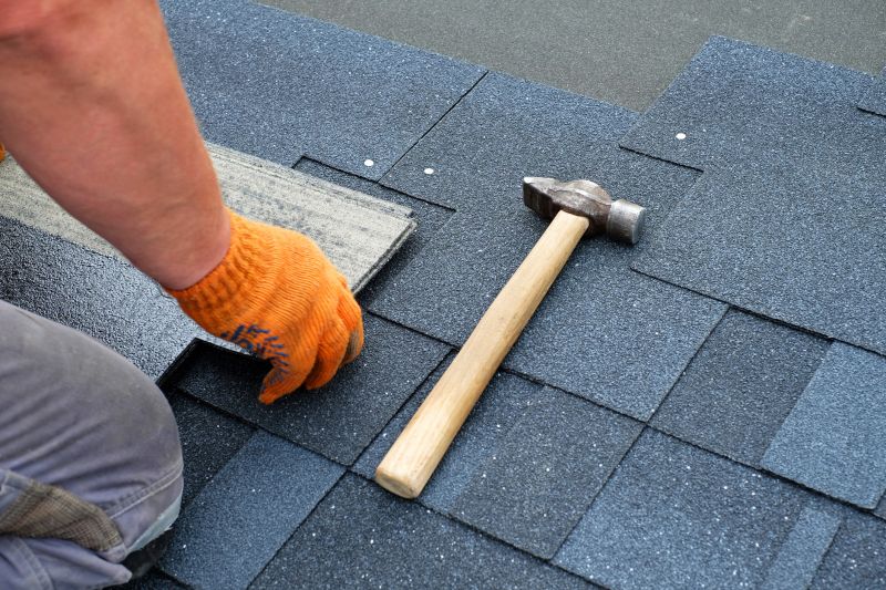 Expert Asphalt Roof Repair 1